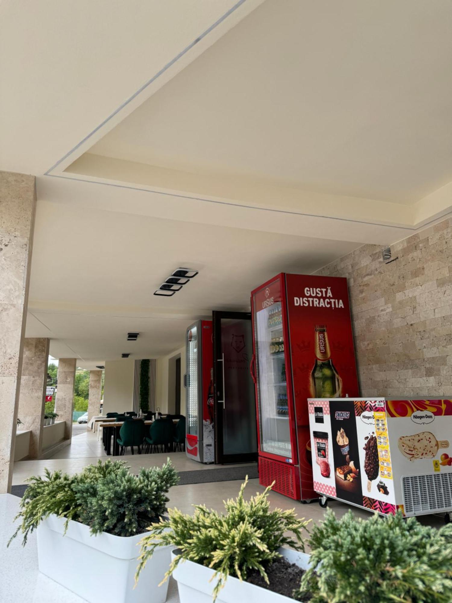 Conacul Pestera Ursilor Chiscau Dış mekan fotoğraf